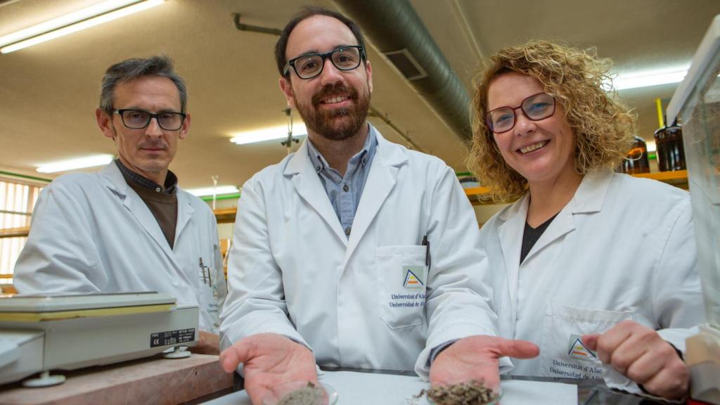 Borja Fernández (centro), junto a Mar Cerdán Sala (derecha) y Antonio Sánchez (izquierda) en el laboratorio de la Facultad de Ciencias de la Universidad de Alicante, muestra el material con el que trabajan en la investigación para recuperar el sabor del tomate utilizando residuos de Posidonia oceánica.