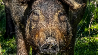 Captura de pantalla 2025-02-21 143229