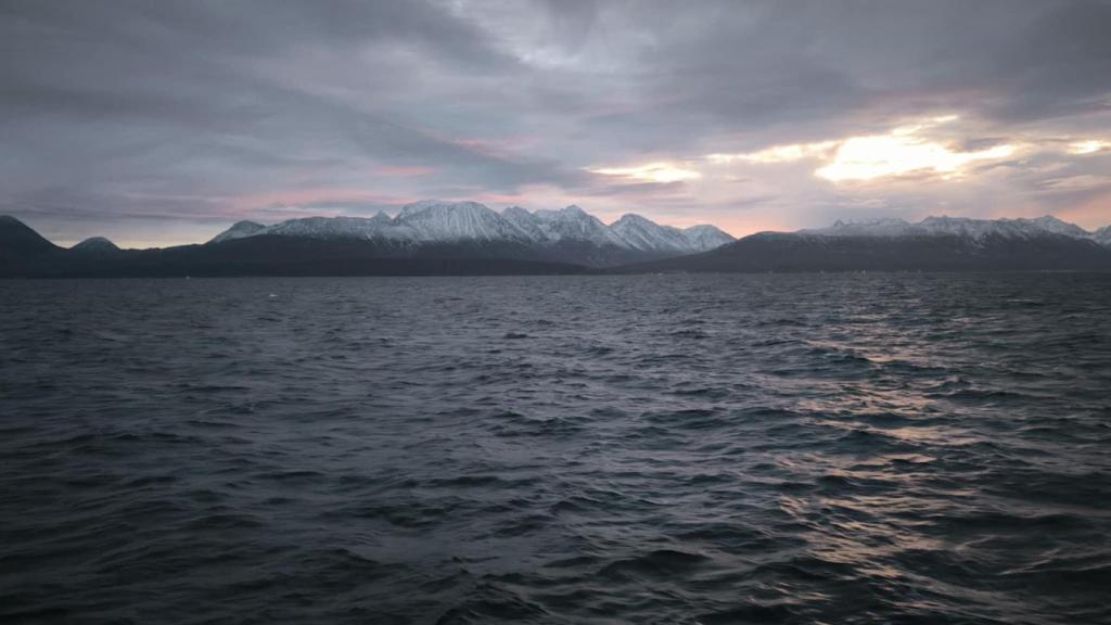 Trabaja en periodos de seis semanas.