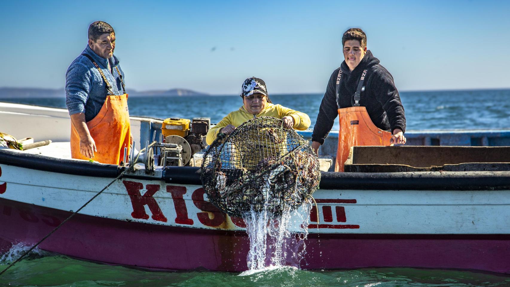 Dania Riquelme, capitana de su embarcación, se dedica a la pesca de jaibas.