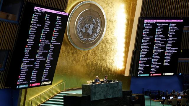 Asamblea General de las Naciones Unidas