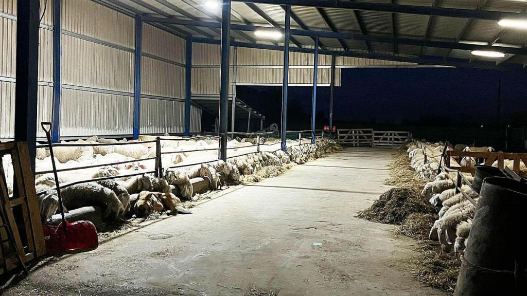 La explotación ganadera familiar