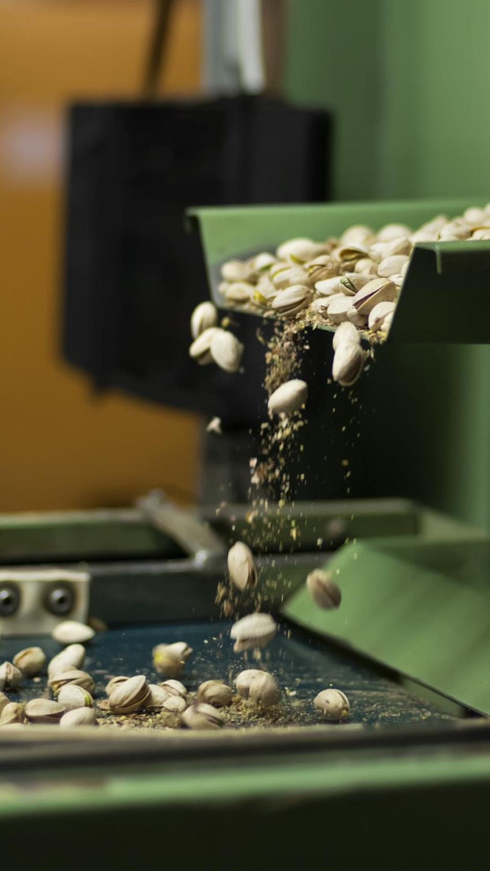 Fábrica Nuevos Cultivos Agrarios.