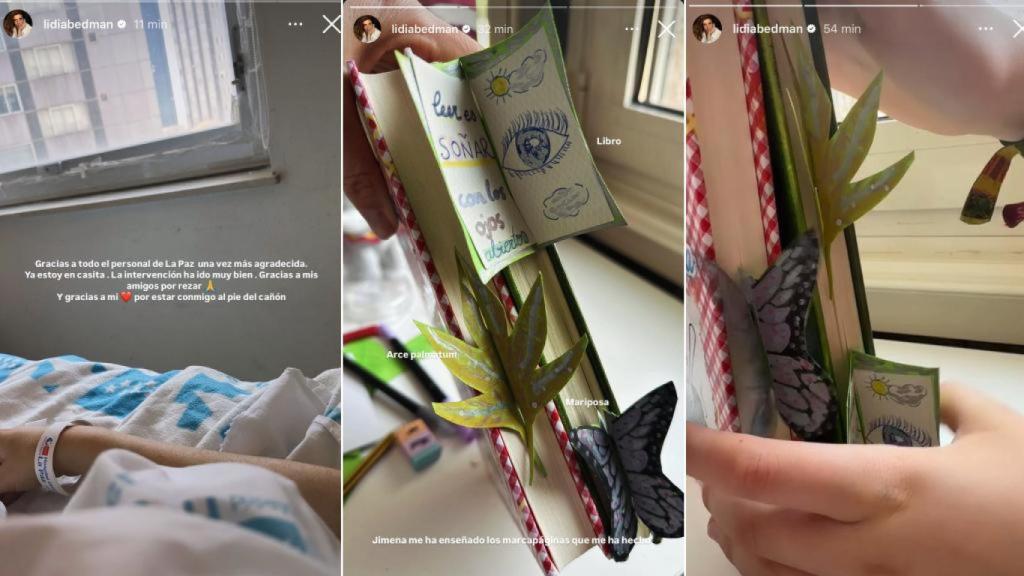 Las tres publicaciones que ha compartido Lidia Bedman.