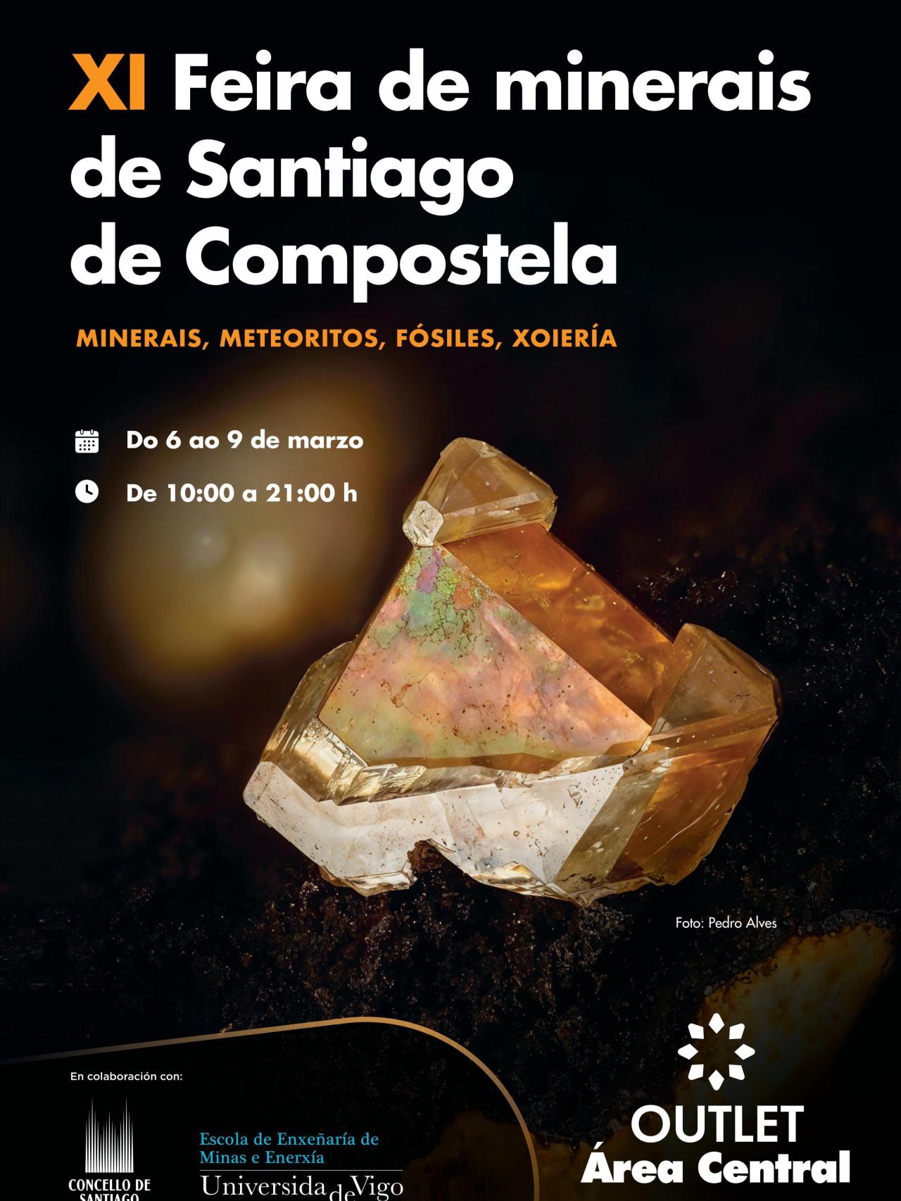 Cartel XI Feria de minerales de Santiago Área Central.