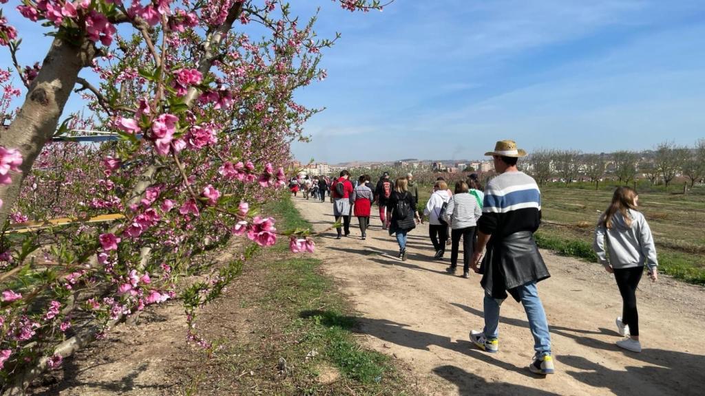 Ruta de la floración en Fraga.