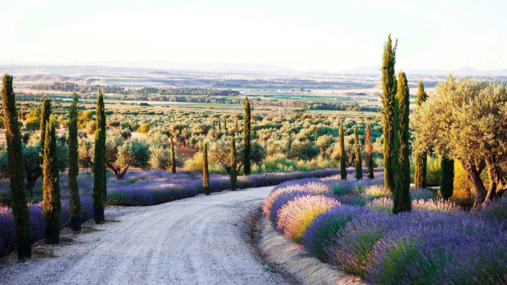 Exterior de la finca.