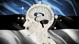 Bandera de Estonia en un fotomontaje.