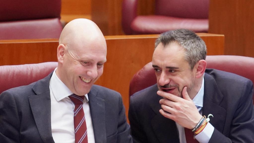 El portavoz adjunto de Vox en las Cortes, Carlos Menéndez, y el portavoz, David Hierro, durante el pleno de las Cortes de este martes