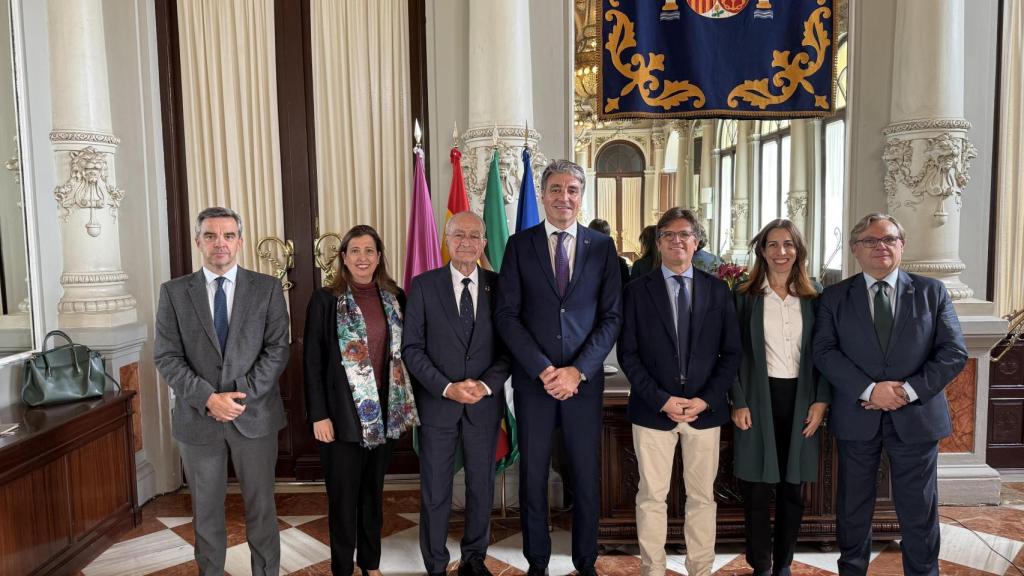 2025 Premio Defensa de la Ingeniería - Alcalde de Málaga.