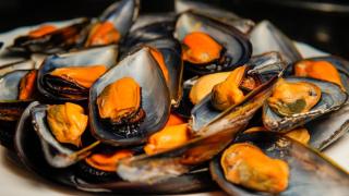 Mejillones.