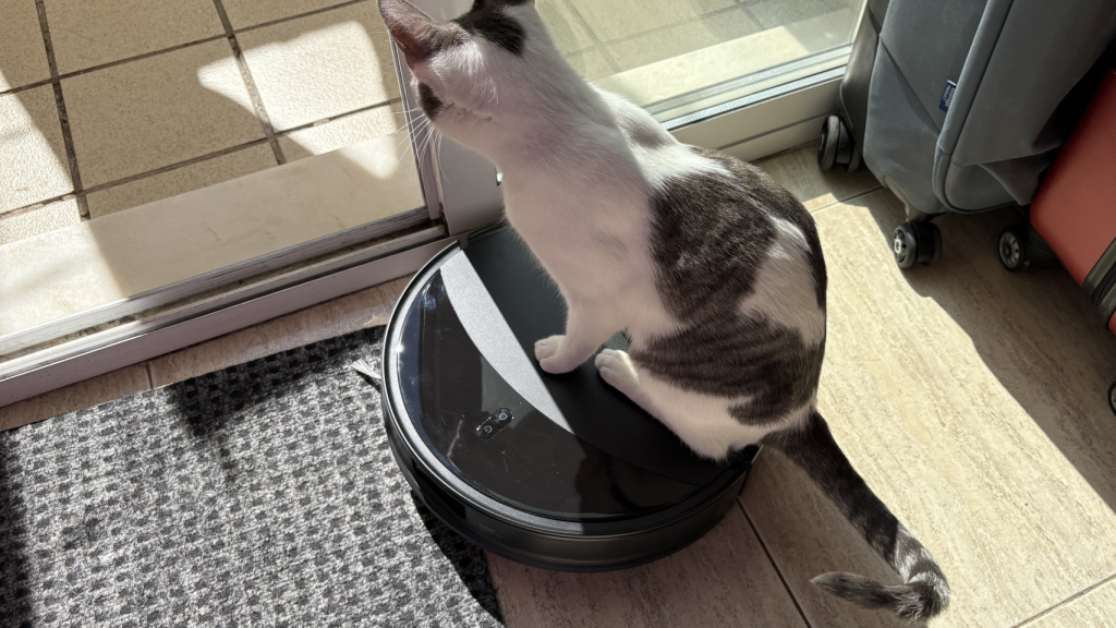 Felino a bordo del Roborock Saros 10R