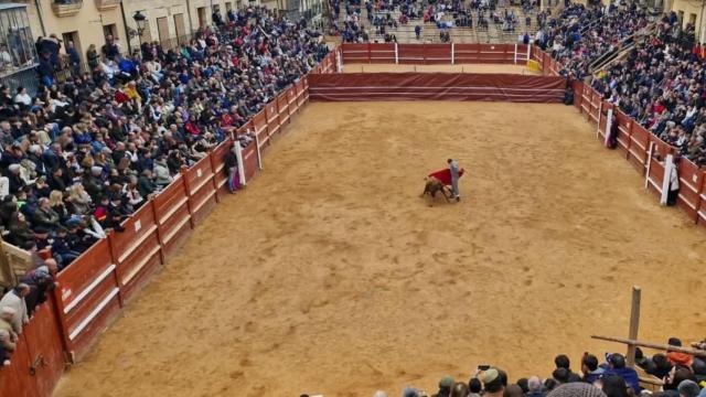 Tentadero para aficionados en Ciudad Rodrigo, este jueves