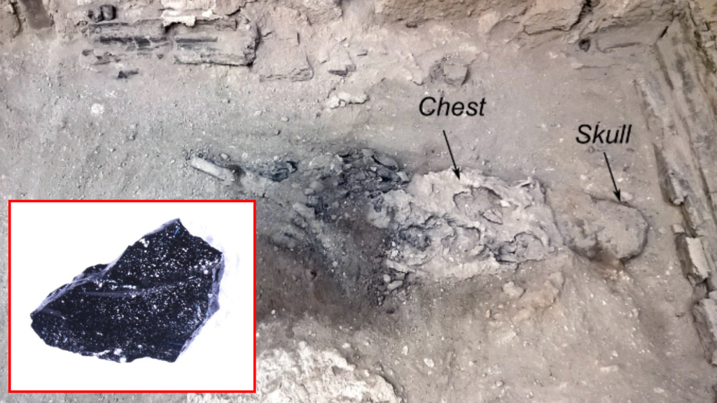 El cuerpo desenterrado en el Collegium Augustalium de Herculano y el fragmento de cerebro cristalizado.