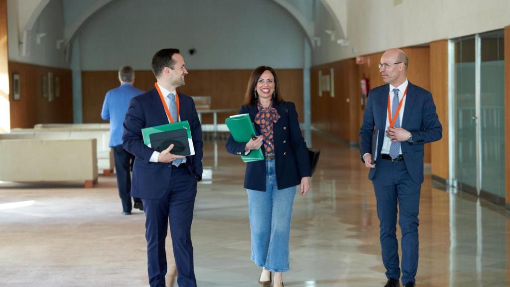 La consejera Rocío Díaz, en la Comisión de Fomento.