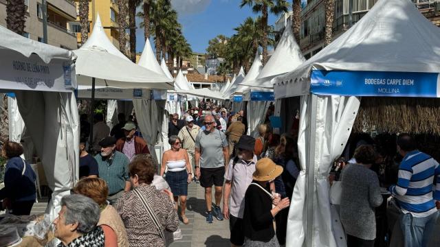 Feria Sabor a Málaga en Torremolinos.