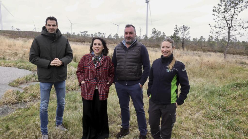 La conselleira de Industria, María Jesús Lorenzana (segunda por la izquierda), en el parque eólico de Zas en febrero.
