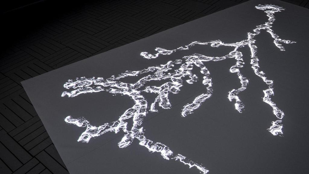 Rodori Rohokwase (versión sobre Cambio climático), 2018. Foto: La Casa Encendida