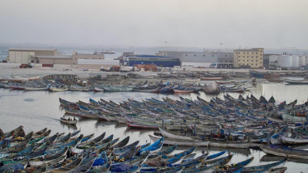 En el puerto de Nuadibú duermen los mismos cayucos de pesca que posteriormente son vendidos para transportar clandestinamente migrantes hacia Canarias.
