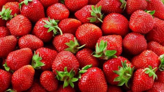 Un montón de fresas (Imagen de archivo)