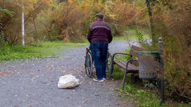Una persona mayor pasea a otra dependiente en Toledo.