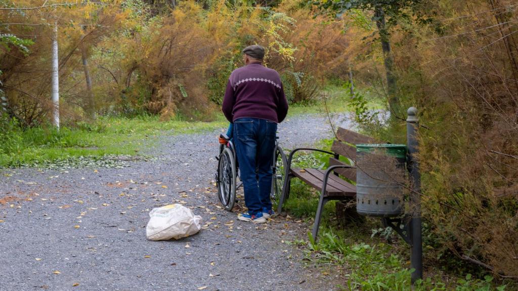 Una persona mayor pasea a otra dependiente en Toledo.