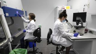 Investigadoras en el laboratorio.