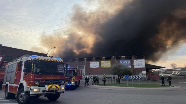 Los bomberos delante de la nave de Anda Transportes en Cobo Calleja.