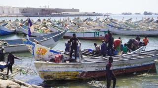 En el puerto artesanal de Nuadibú los cayucos se cuentan de mil en mil. Algunos son utilizados para pescar y, otros, cuando cae la noche, para transportar migrantes.