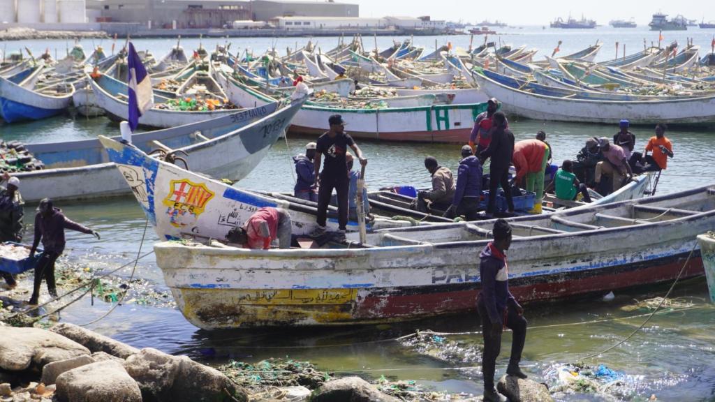 En el puerto artesanal de Nuadibú los cayucos se cuentan de mil en mil. Algunos son utilizados para pescar y, otros, cuando cae la noche, para transportar clandestinamente migrantes.