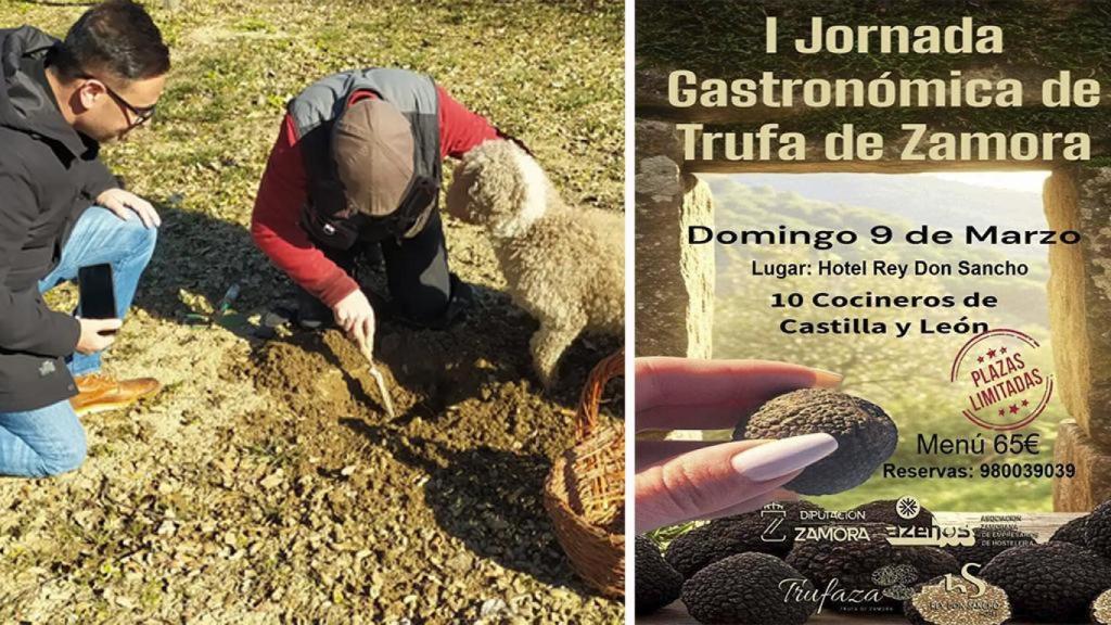 Primera Jornada Gastronómica de la Trufa en Zamora