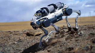 Robot en forma de perro que puede equipar armamento