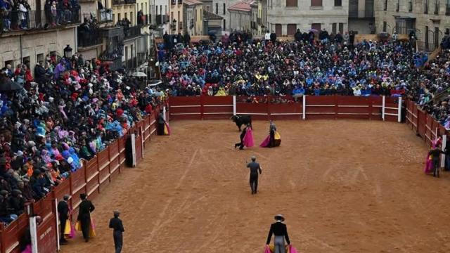 Toros de Ciudad Rodrigo este domingo  de marzo