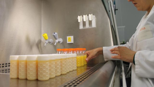 Una investigadora con muestras.