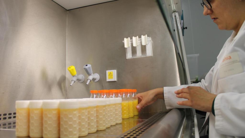 Una investigadora con muestras.