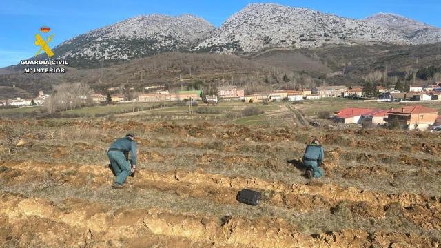 La Guardia Civil en el yacimiento arqueológico arrasado con maquinaria pesada