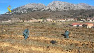 La Guardia Civil en el yacimiento arqueológico arrasado con maquinaria pesada