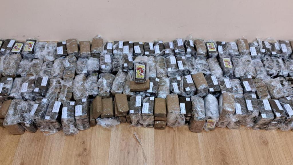 El hachís incautado a un joven en Palencia