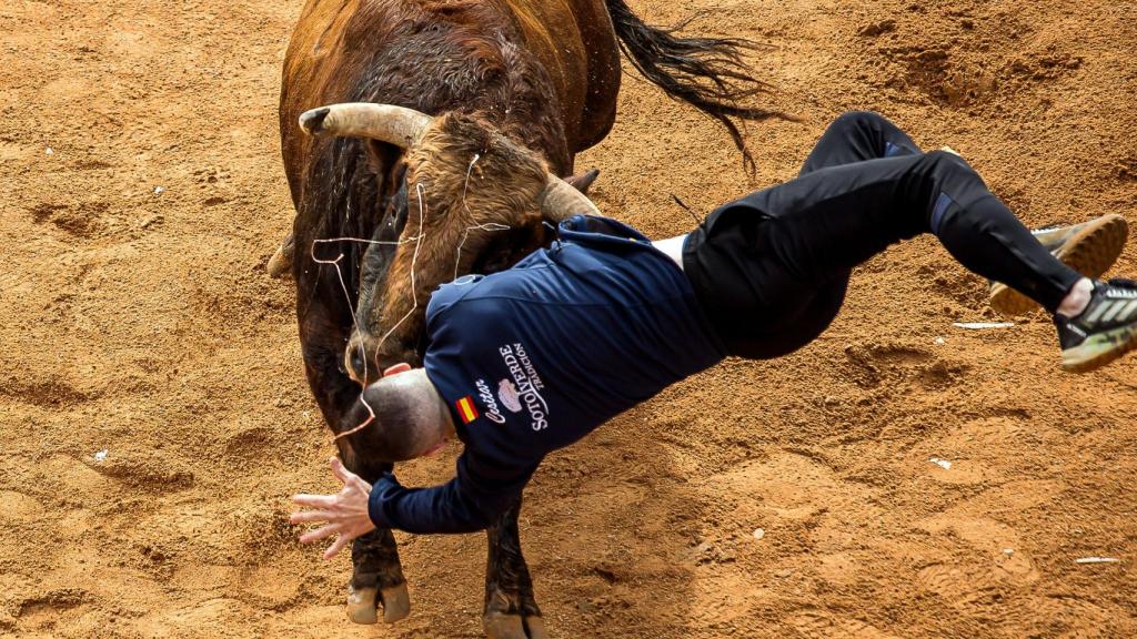 Un recortador resultó herido en la capea del martes del Carnaval del Toro de Ciudad Rodrigo