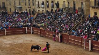 Imagend del evento taurino en el Carnaval del Toro de Ciudad Rodrigo