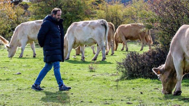 El presidente del Partido Popular de Castilla-La Mancha, Paco Núñez.