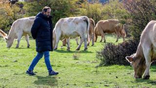 El presidente del Partido Popular de Castilla-La Mancha, Paco Núñez.