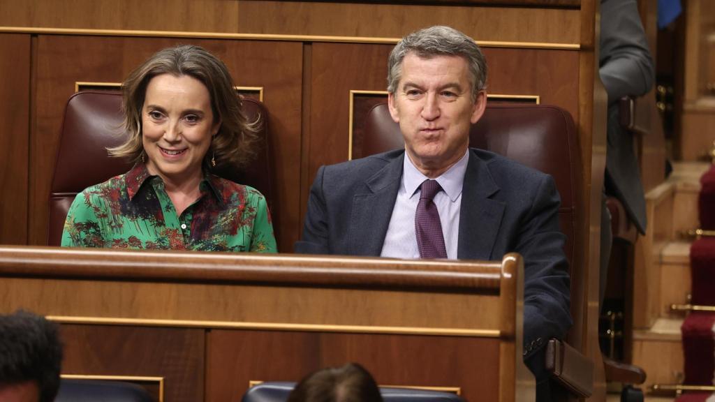 La secretaria general del PP, Cuca Gamarra, y el presidente del partido, Allberto Núñez Feijóo, durante un pleno en el Congreso.