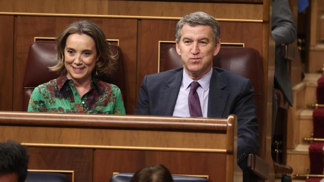 La secretaria general del PP, Cuca Gamarra, y el presidente del partido, Allberto Núñez Feijóo, durante un pleno en el Congreso.