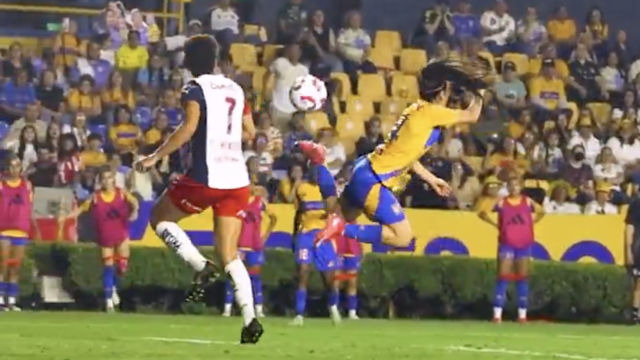 Remate de Lizbeth Ovalle