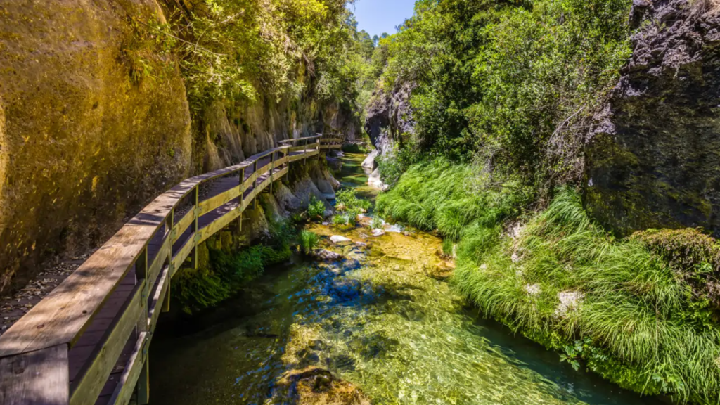 Ruta del río Borosa.