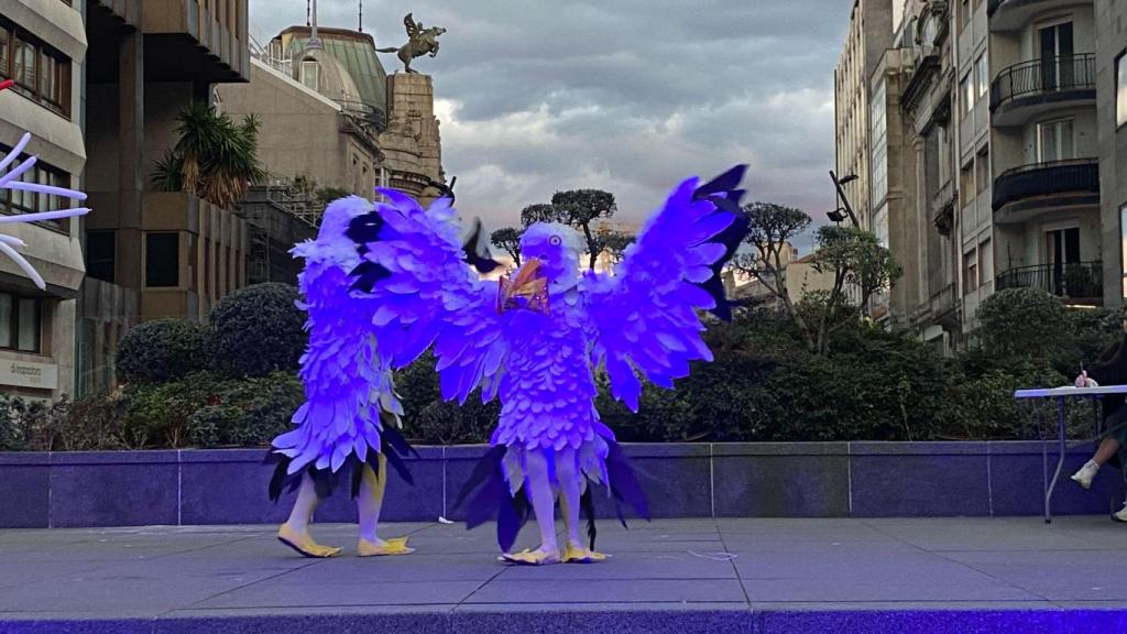 Gaviotas de Cíes en el concurso de disfraces de Vigo