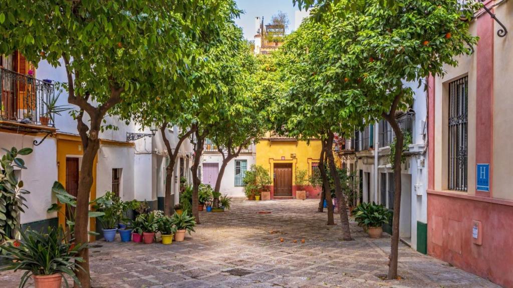 Santa Cruz está en el punto de mira.