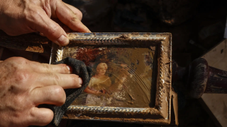 900920560_250846468_1706x960