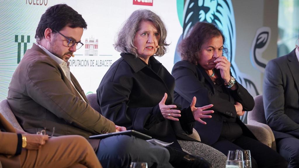 La consejera Mercedes Gómez.